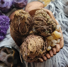 Load image into Gallery viewer, Rose of Jericho Resurrection Plant