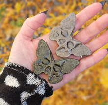 Load image into Gallery viewer, Natural Sheen Obsidian Gemstone Death Head Moth