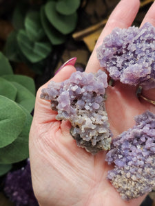 Raw Purple Grape Agate Crystal Specimens