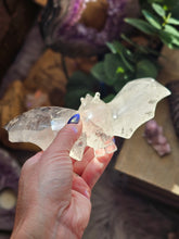 Load image into Gallery viewer, Clear Quartz Bat on a Stand
