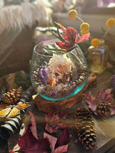Load image into Gallery viewer, Splendor ~ CrystalAIRium Mystic Terrarium Tabletop Secret Garden

