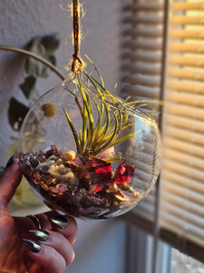 Splendor Mini Series ~ Hanging CrystalAIRium Mystic Terrariums