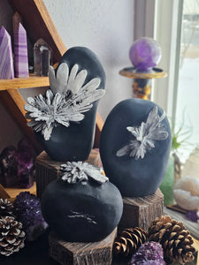 Natural Chrysanthemum Stone Free Form Fossils