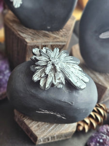 Natural Chrysanthemum Stone Free Form Fossils