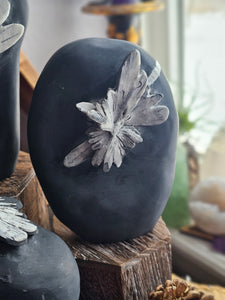 Natural Chrysanthemum Stone Free Form Fossils