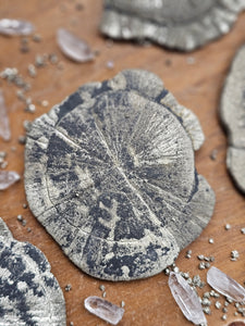 "Dead Stock" Natural Illinois Pyrite Suns Flowers