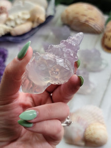 Natural Lavender Fluorite Crystal Conch Shell