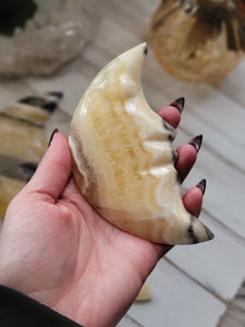 Zebra Onyx Crystal Gemstone Carved Moons