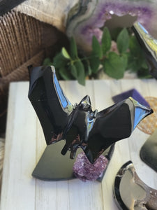 Nocturnal Obsidian Bat on a Stand
