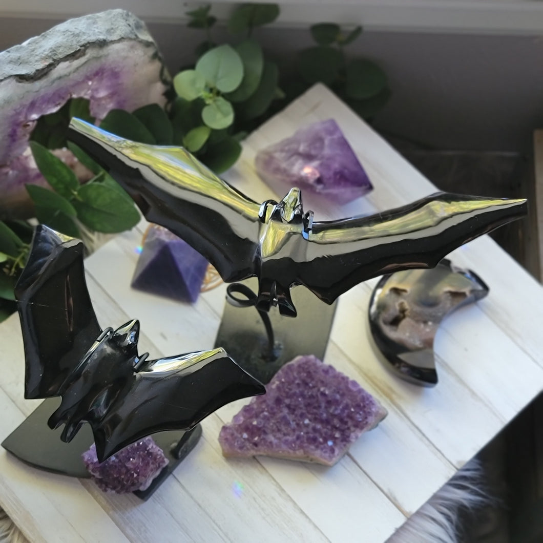 Nocturnal Obsidian Bat on a Stand