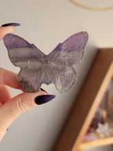Load image into Gallery viewer, Fluorite Crystal Death Head Skull Butterfly Moth

